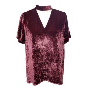 Madewell Crushed Velvet Burgundy V Neck Blouse